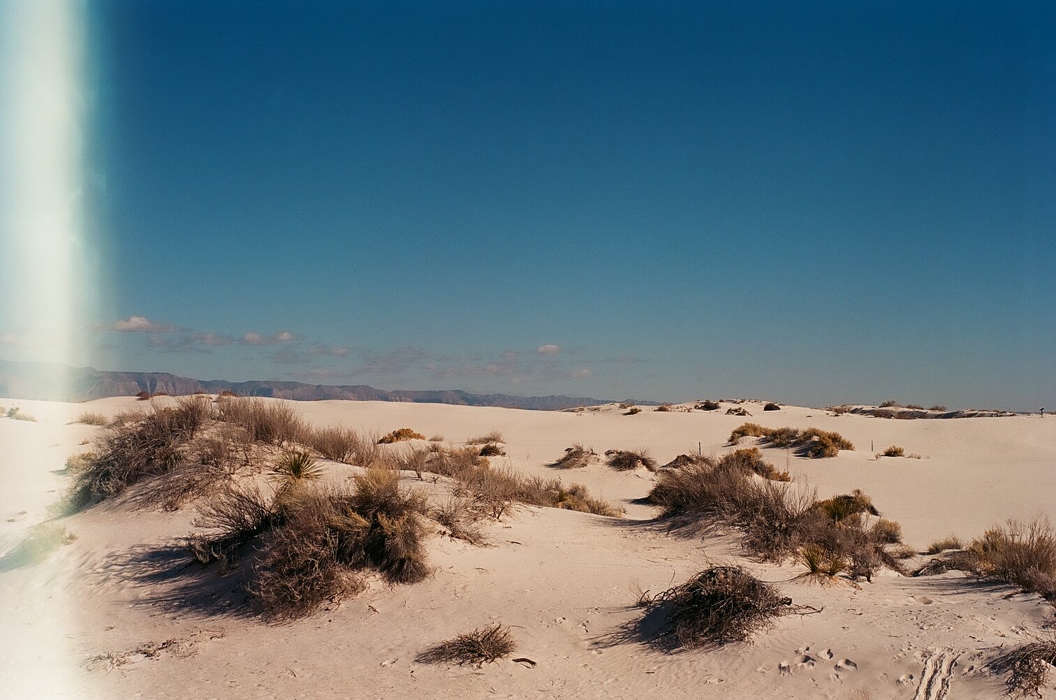 KODAK EKTAR 100 