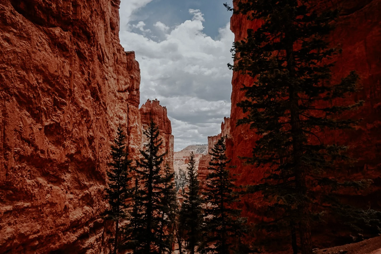B1D3D415-256F-4F14-96AD-FCBF55EC76B8.jpg