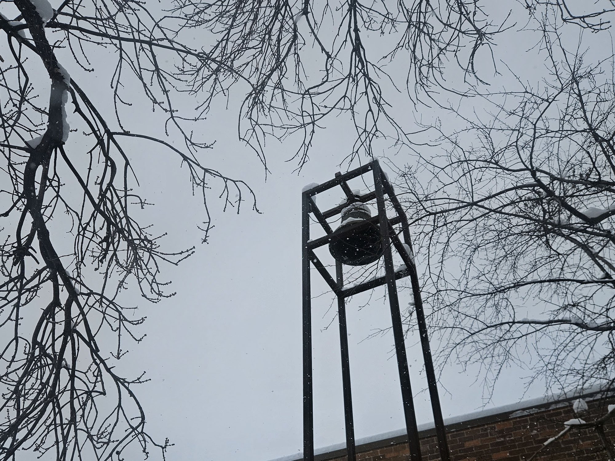 20260125_123146~4_web.jpg
