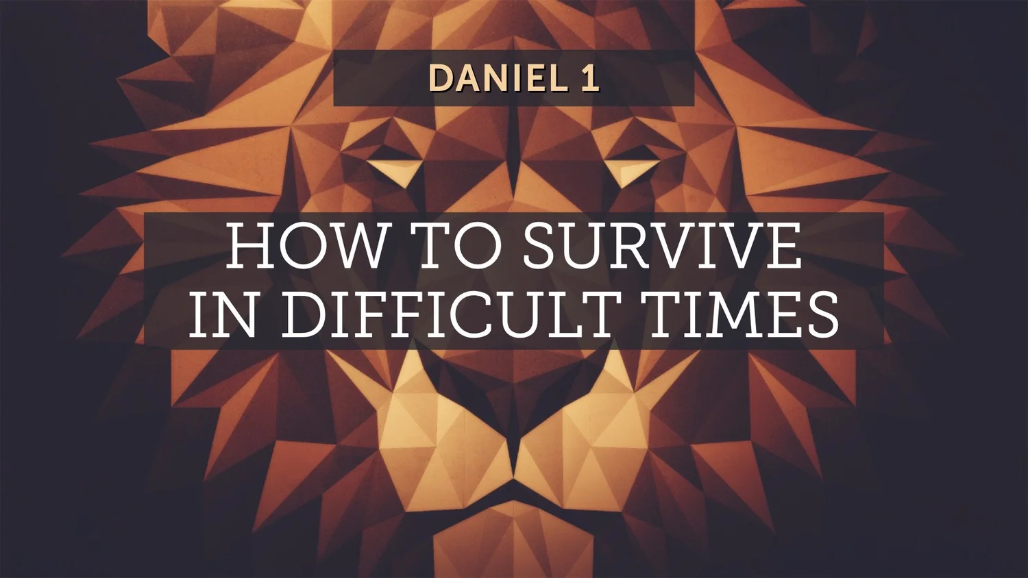 How to Survive in Difficult Times