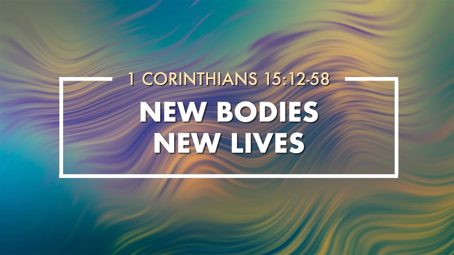 New Bodies – New Lives