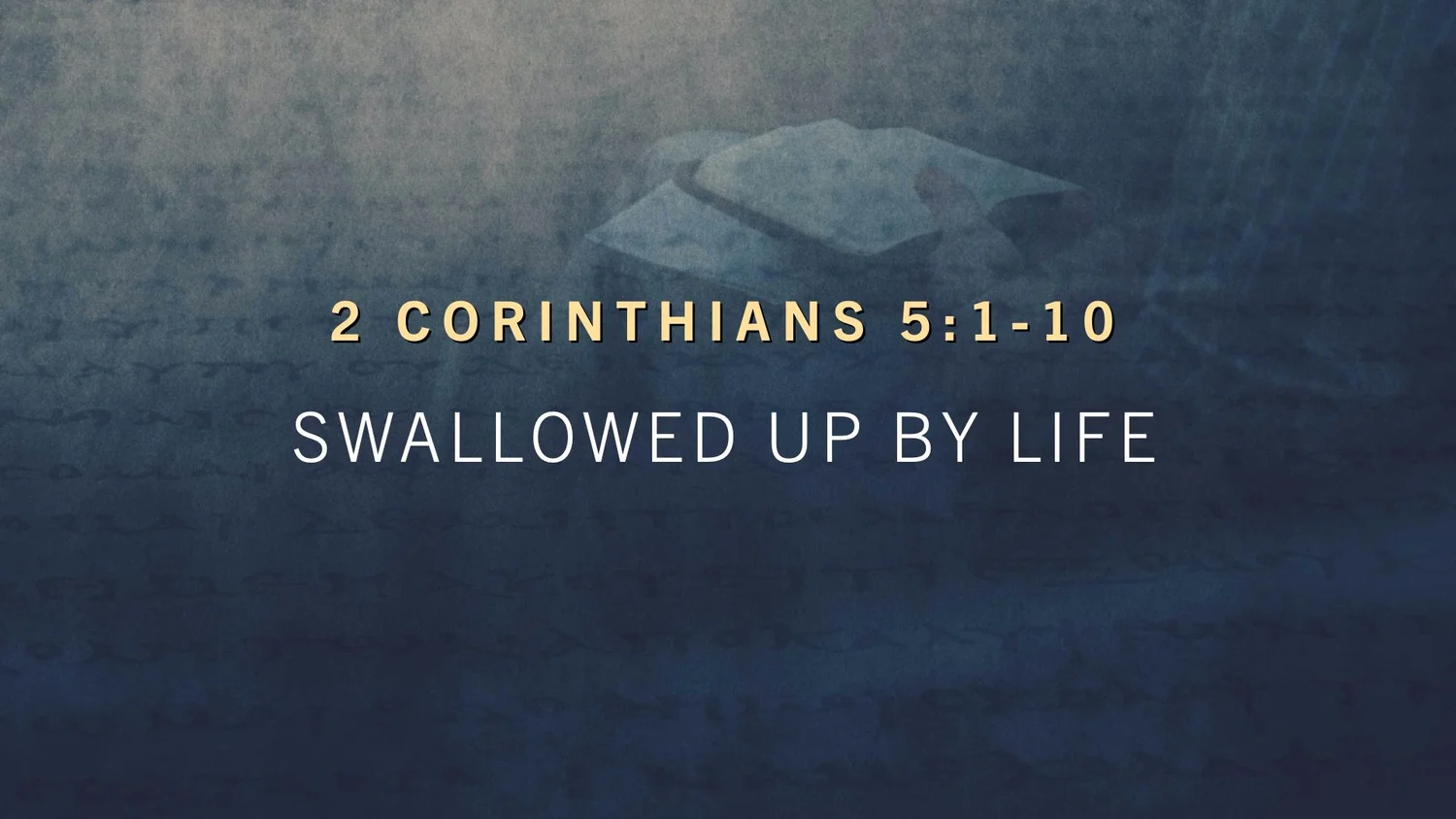 Swallowed Up By Life