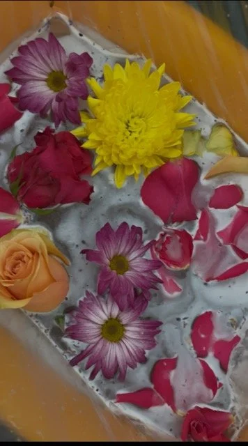 IMG_3398 Medium.jpeg