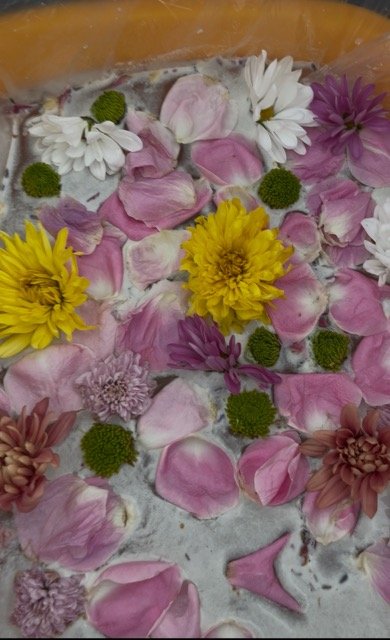 IMG_3395 Medium.jpeg