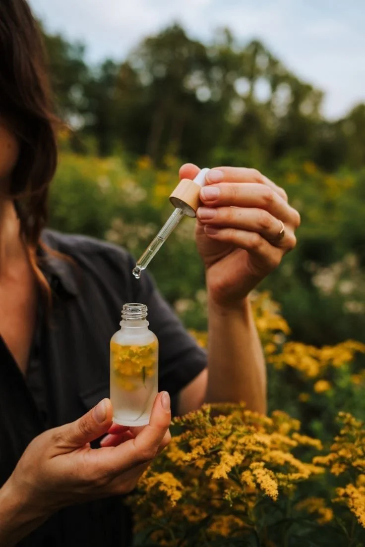 Phytotherapie in der Krebsbehandlung