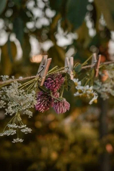 Kräuterführung durch den Klostergarten