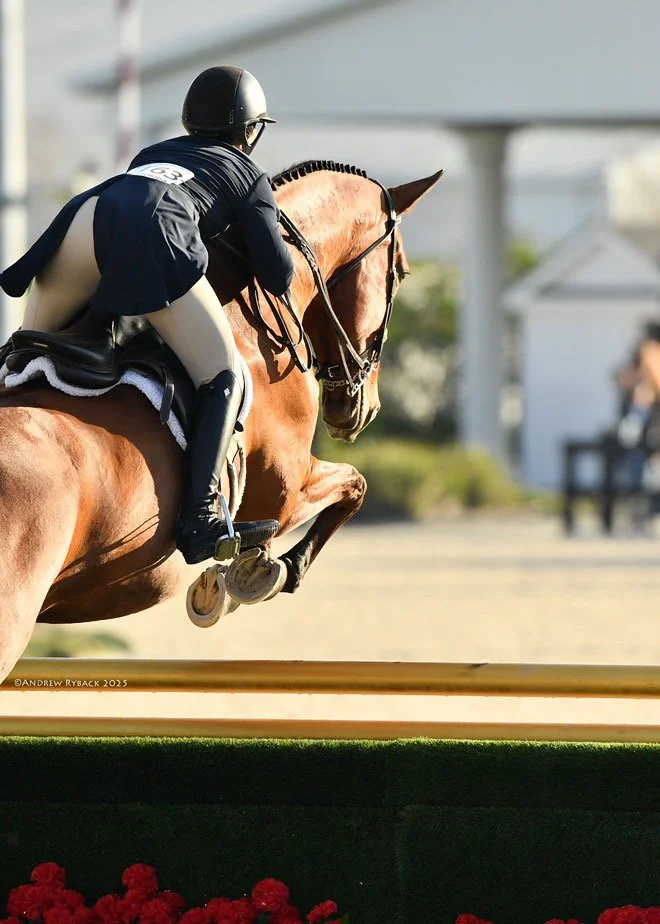 9567AFCB-0218-4147-91C8-0743EC2E07FB 2.JPG