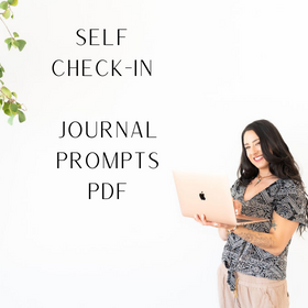 Daily Self Check-In Journal Prompts