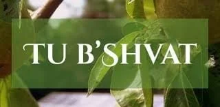 Tu B'Shevat Potluck Celebration and Ice Cream Seder!