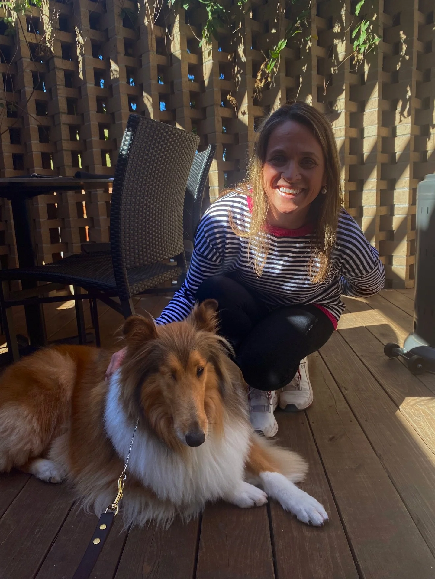 Best patio guest ever! 

We&rsquo;re Rev approved &hearts;️ 🐾 

#napaflats #aggieland #queenrev #collegestationtx #napaflatswoodfiredkitchen
