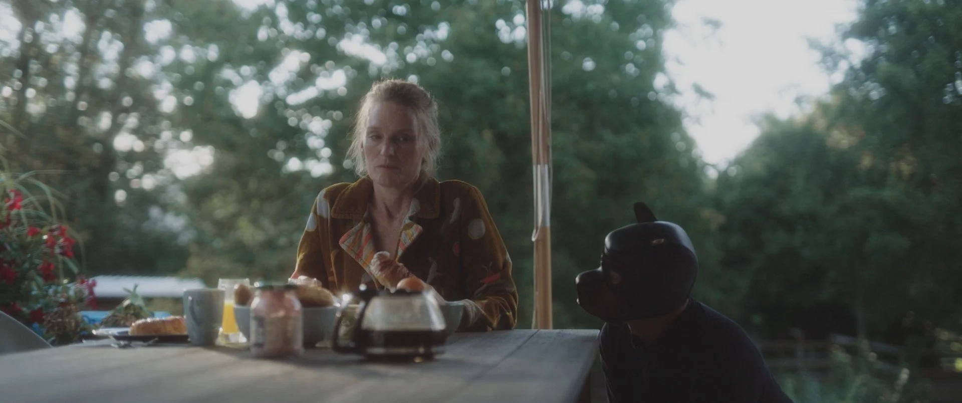 Film Programme: “Franky”