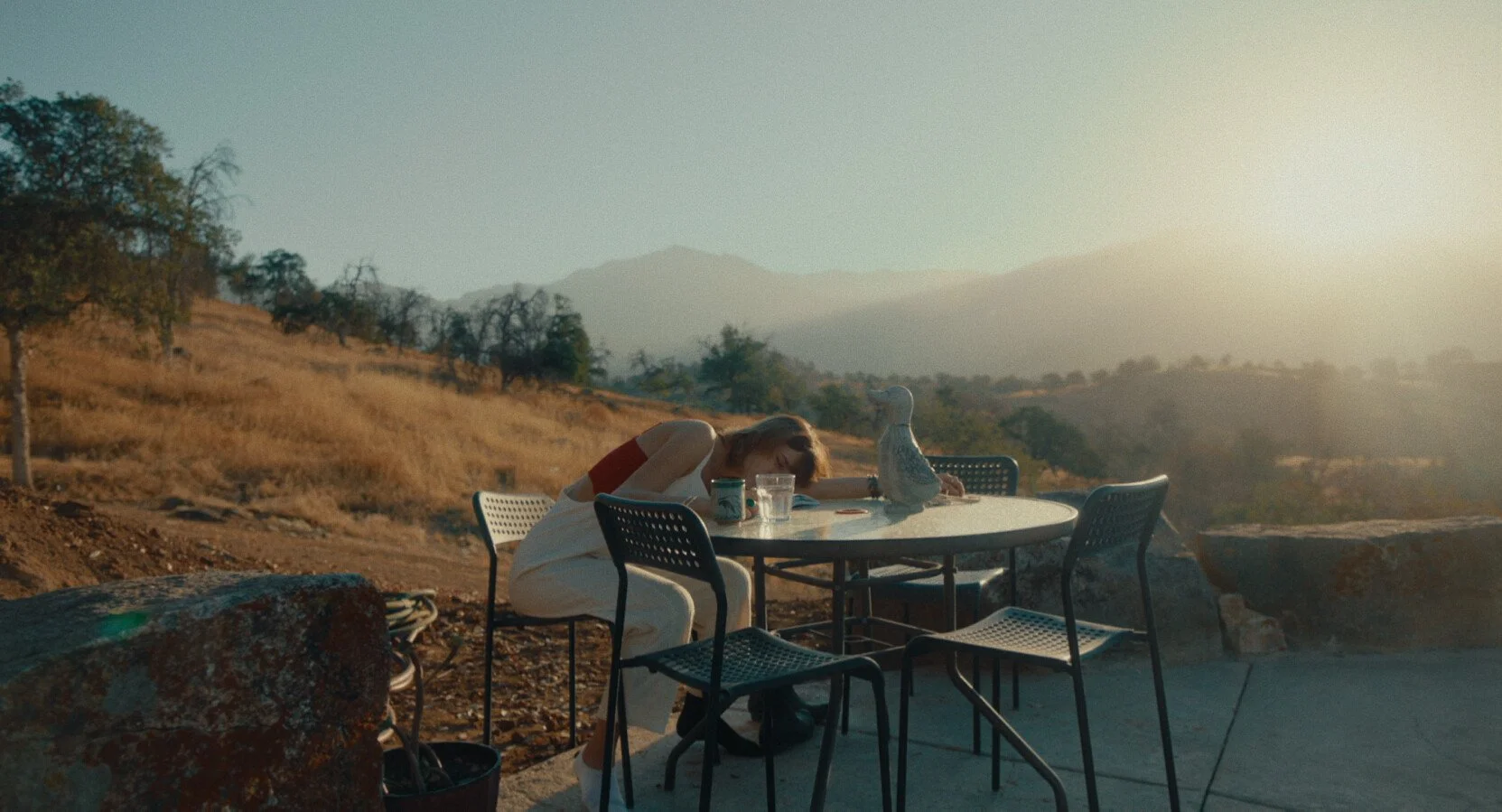 Film Programme: "The Prescribed Burn of a Savanna Oak"