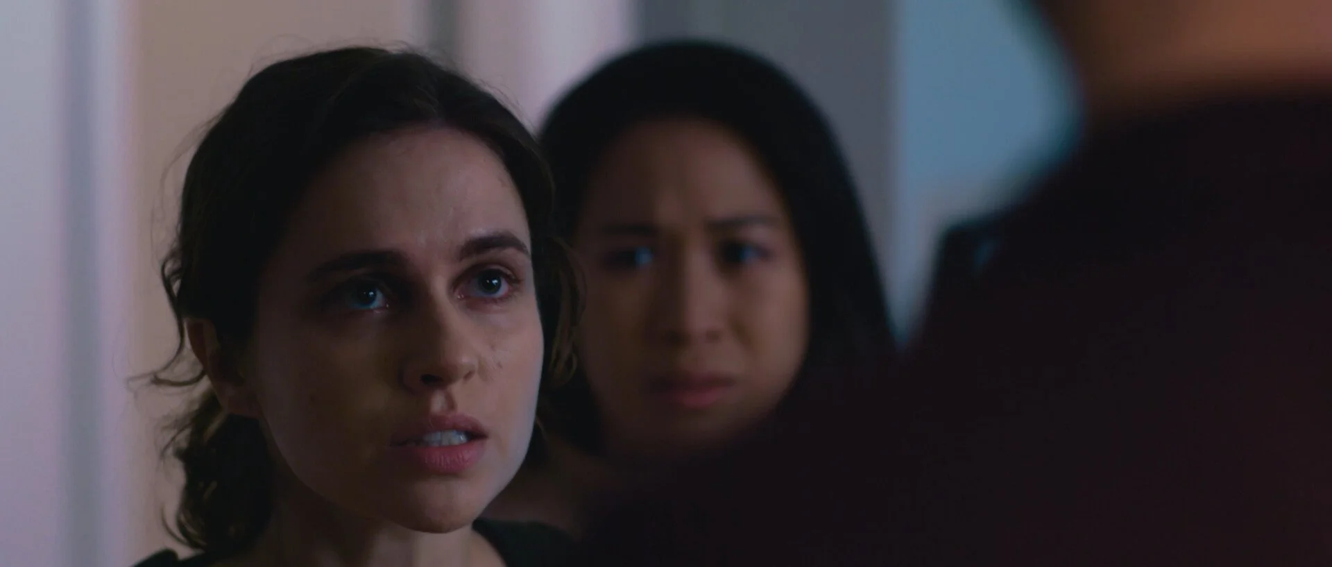 Film Programme: “Not Him”