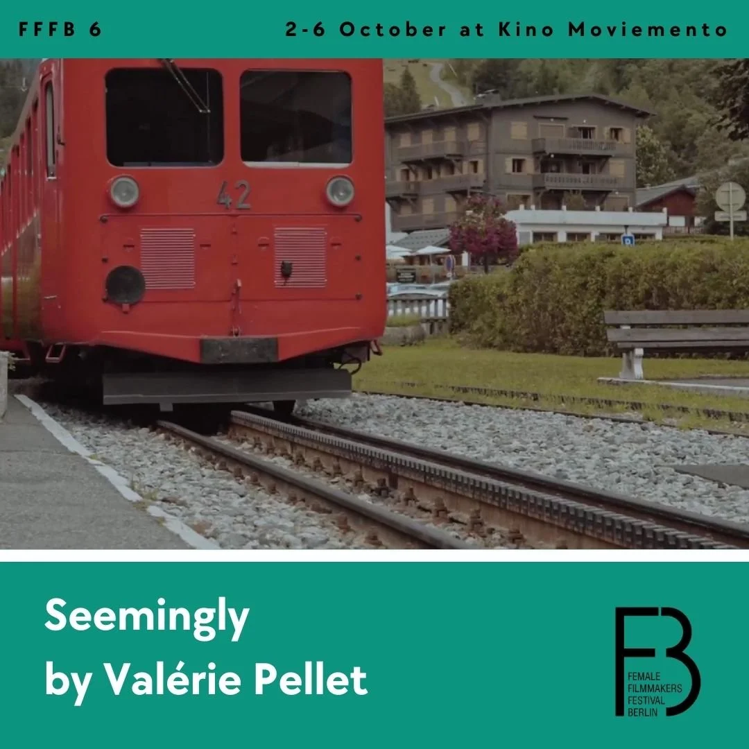 Fashion Videos 2024: “Seemingly”