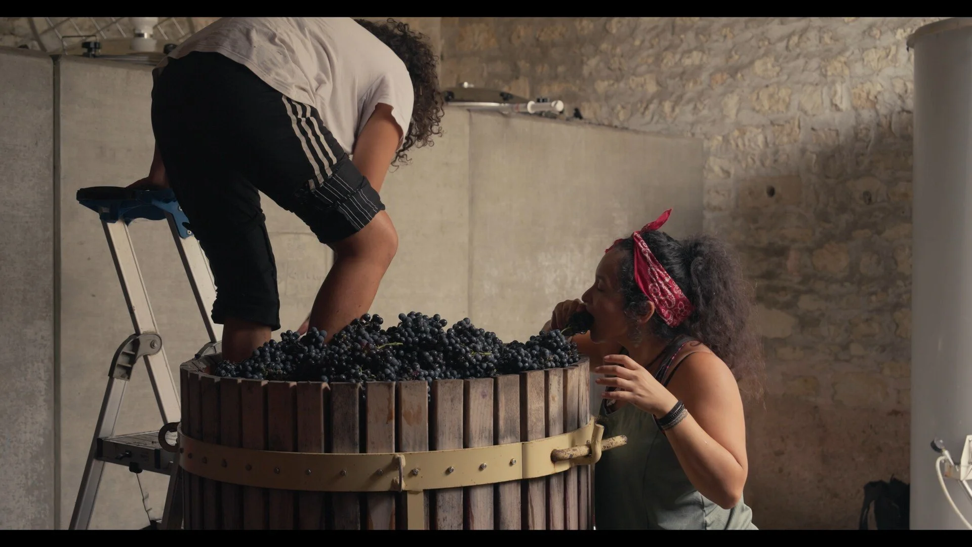 "Natural Yeasts" (Feature Film + Shorts)