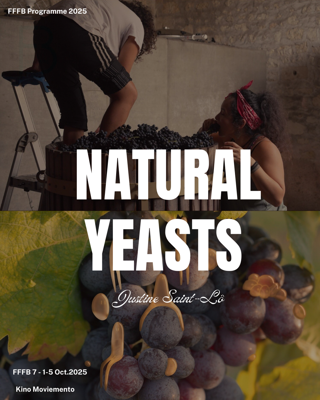 FFFB Programme 2025: “Natural Yeasts”