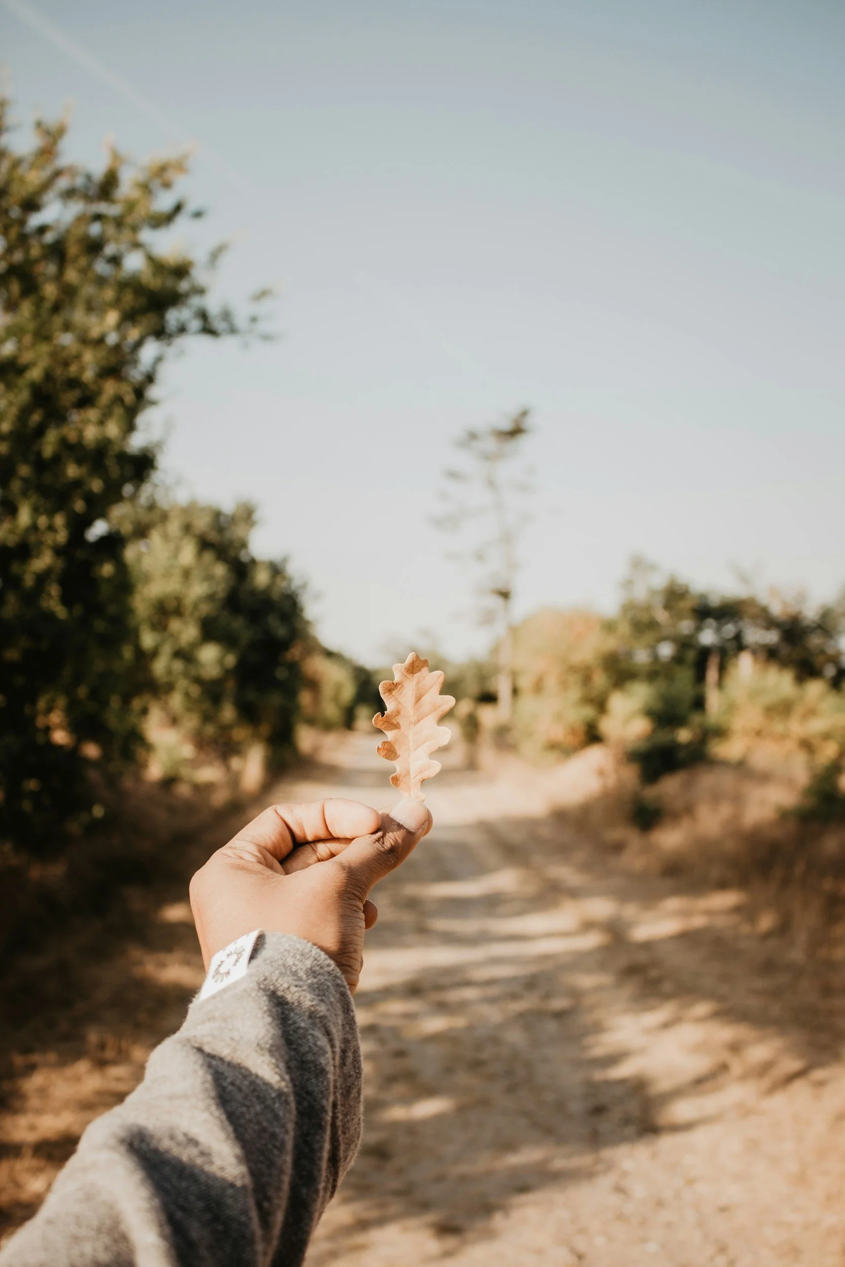 So Long, Summer: Embracing Fall Without Falling into a Funk