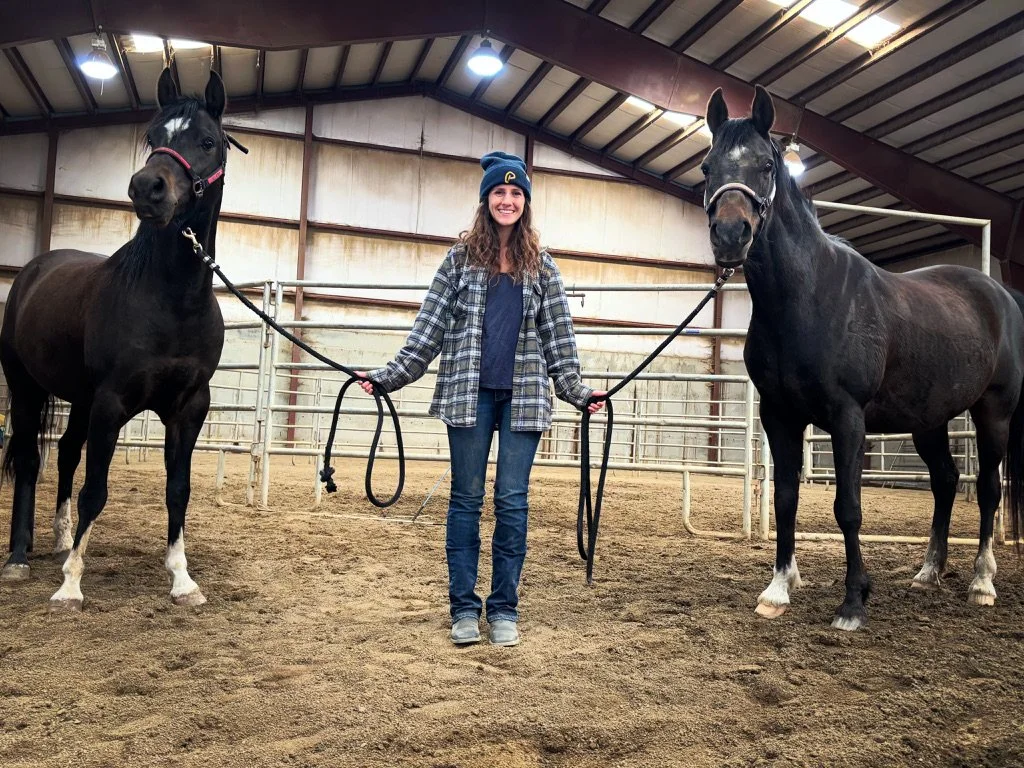 Meet Katie and Allstarr, Why We Chose Horses for This Work