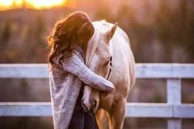 What Actually Happens in an Equine Therapy Session (No, You Don't Need to Know How to Ride)