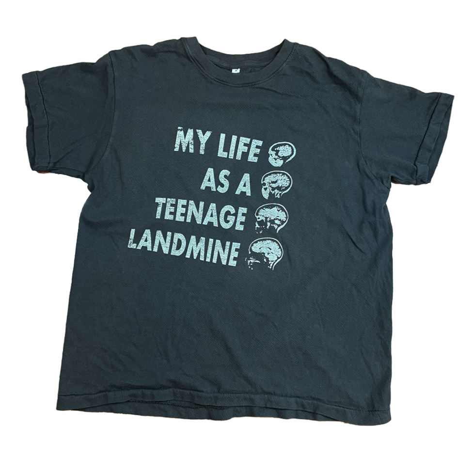 teenage+landmine+flat.png