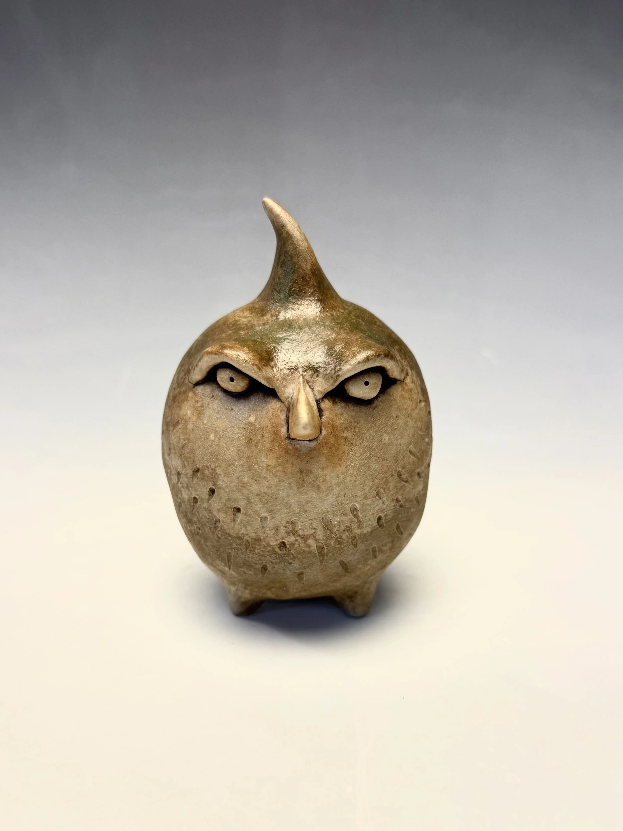 Brown Bird.jpeg