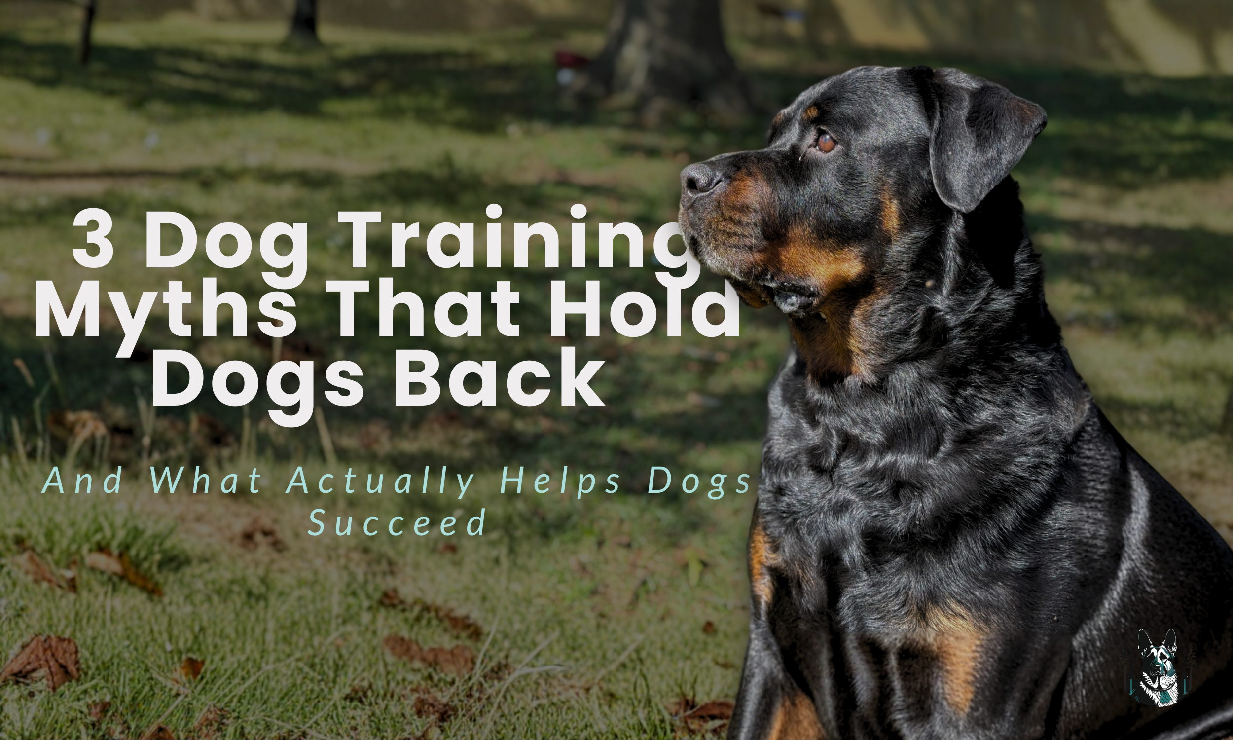 3 Dog Training Myths That Hold Dogs Back 