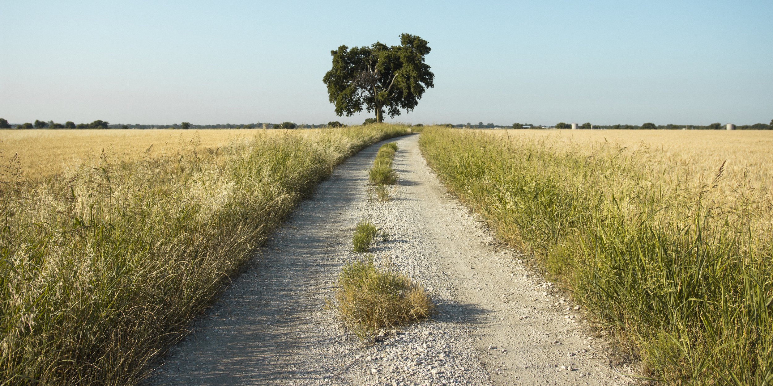 Road A Way.jpg