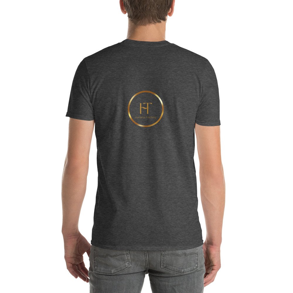 unisex-lightweight-t-shirt-heather-dark-grey-back-686e95bcdd0d3.jpg