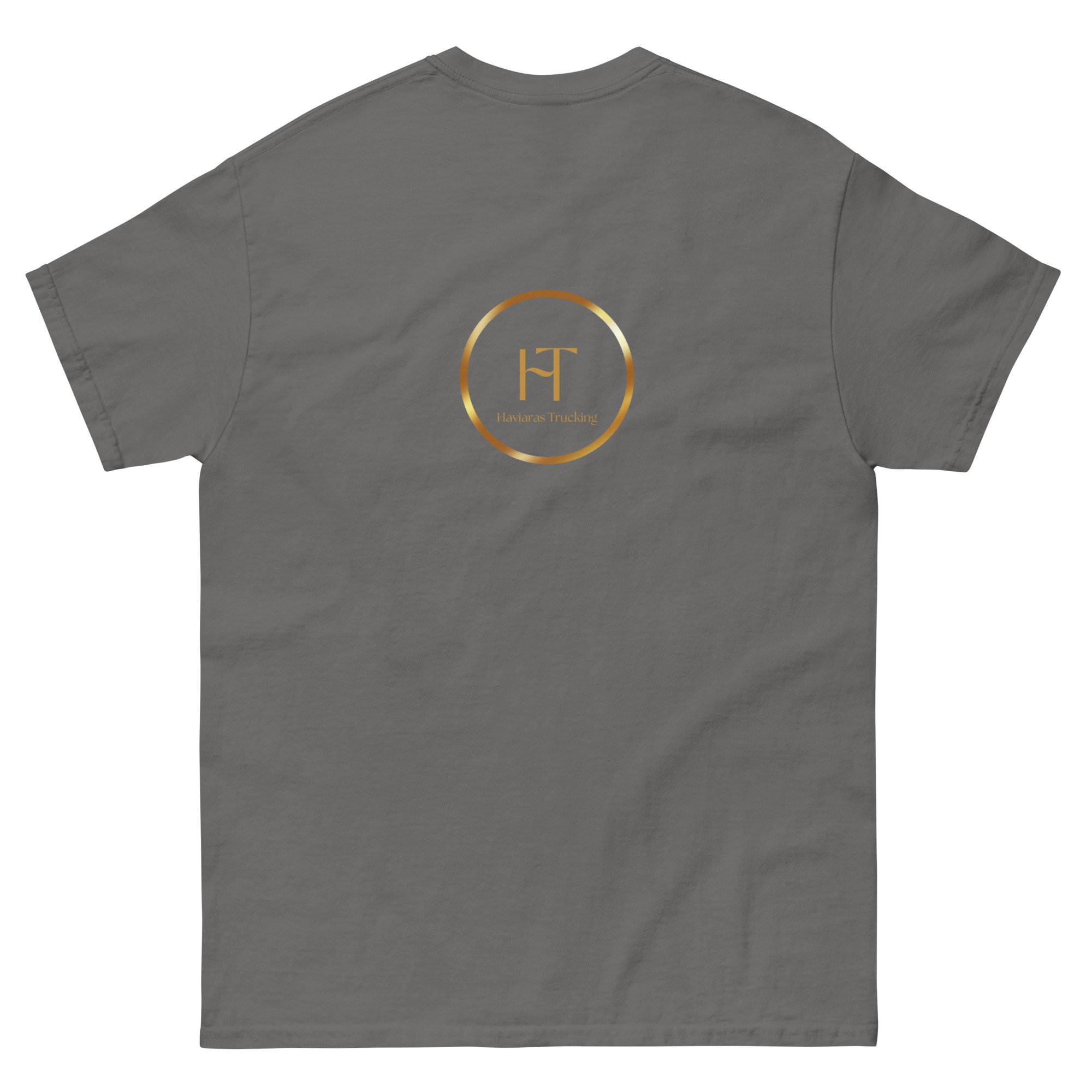 unisex-classic-tee-charcoal-back-686e9fd88cbc0.jpg