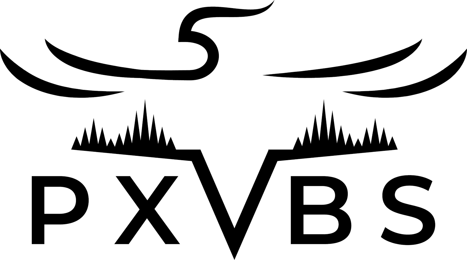 PXVBS
