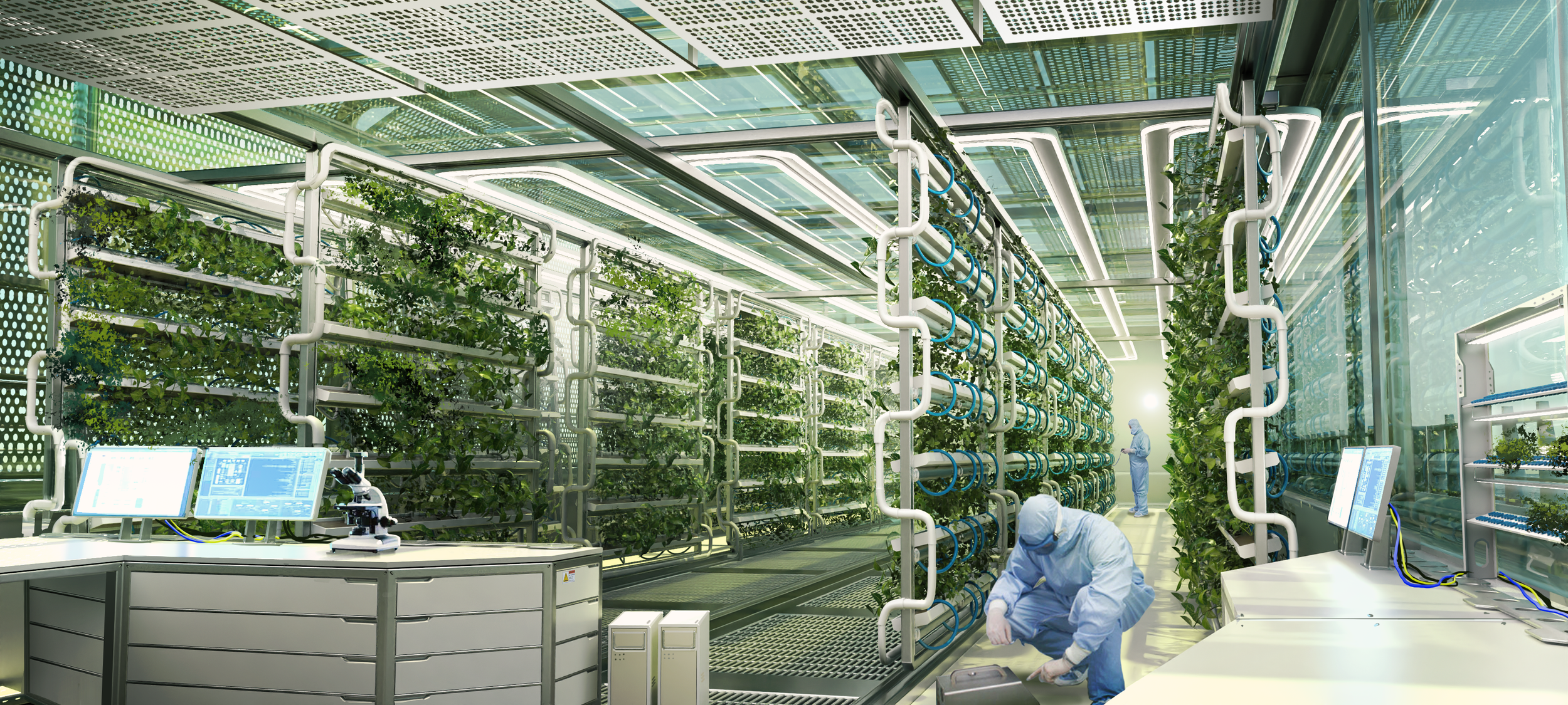 Greenhouse_Interior_V2_May_16th.png