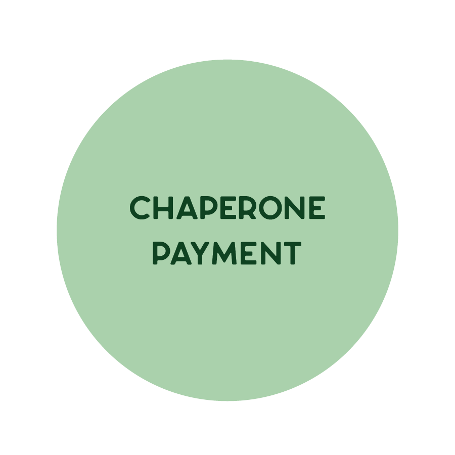 4th Grade Chaperone Full Payment