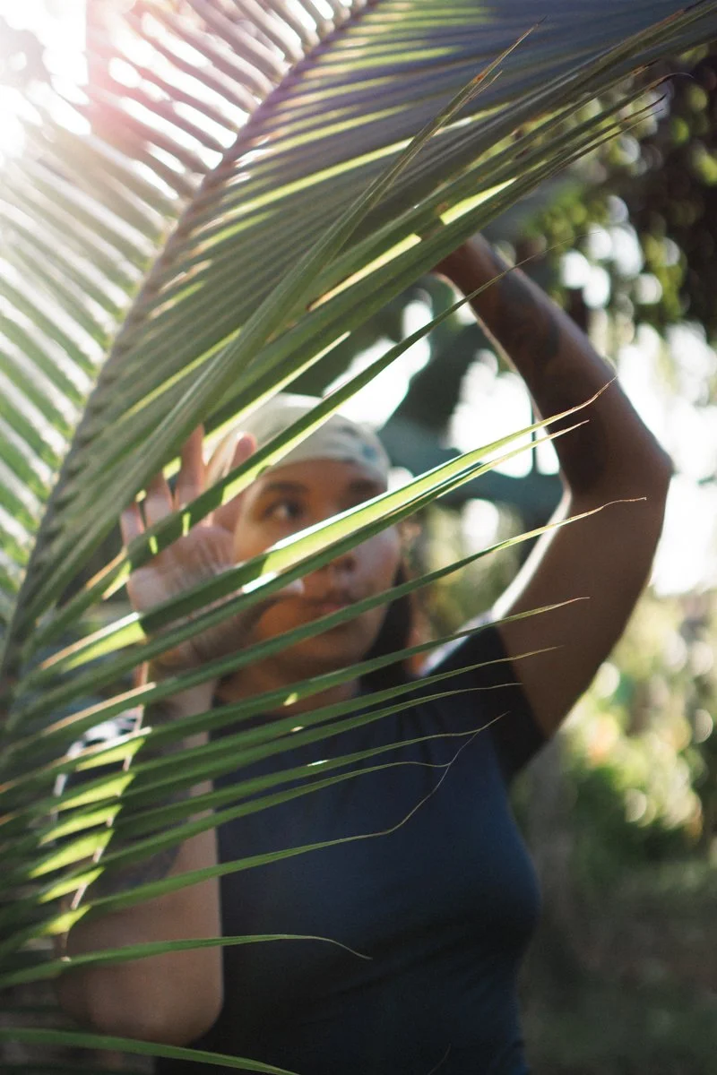 A person with a head covering and dark shirt holding a large green palm leaf in front of their face outdoors.