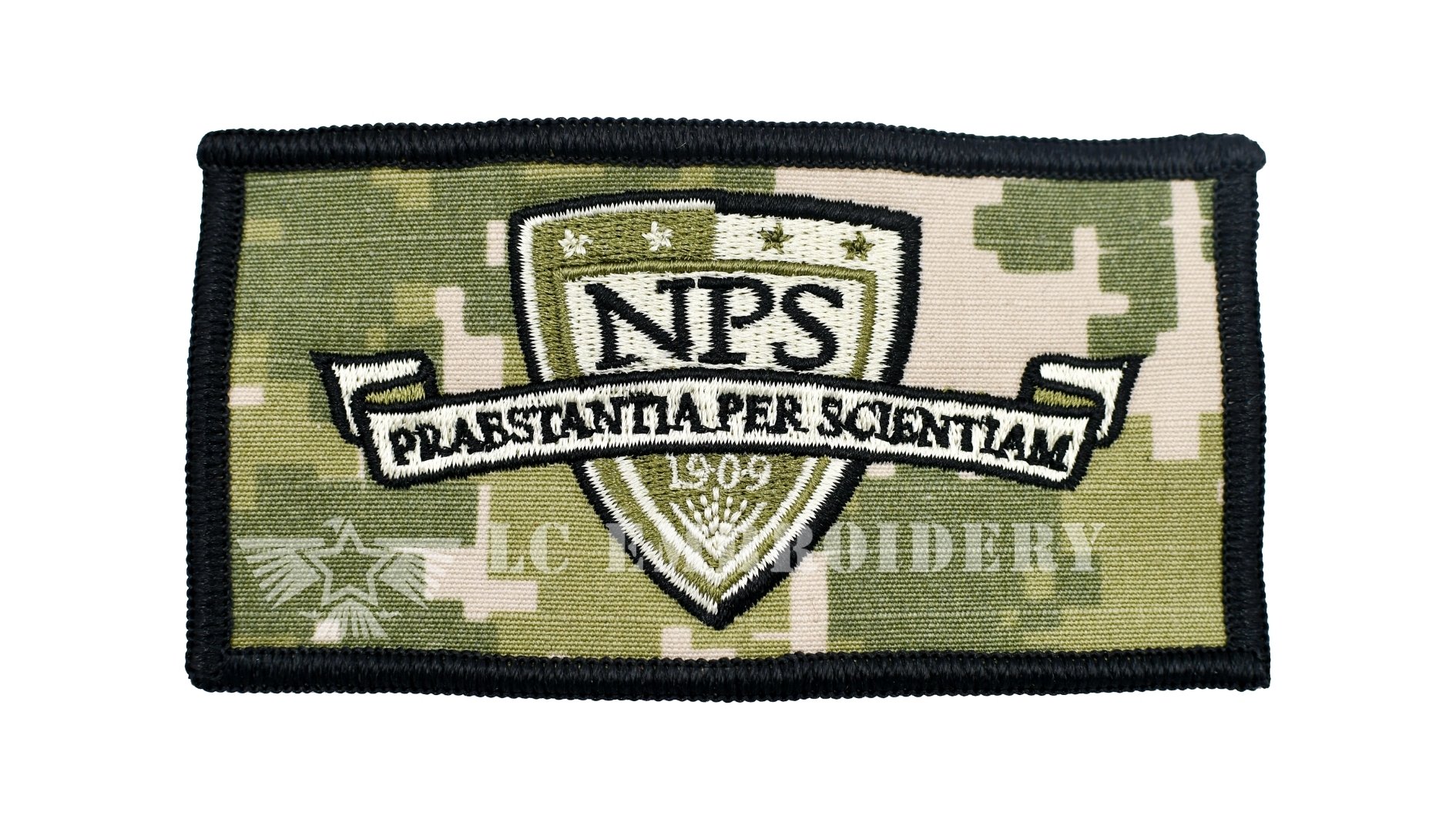 NPS.jpg