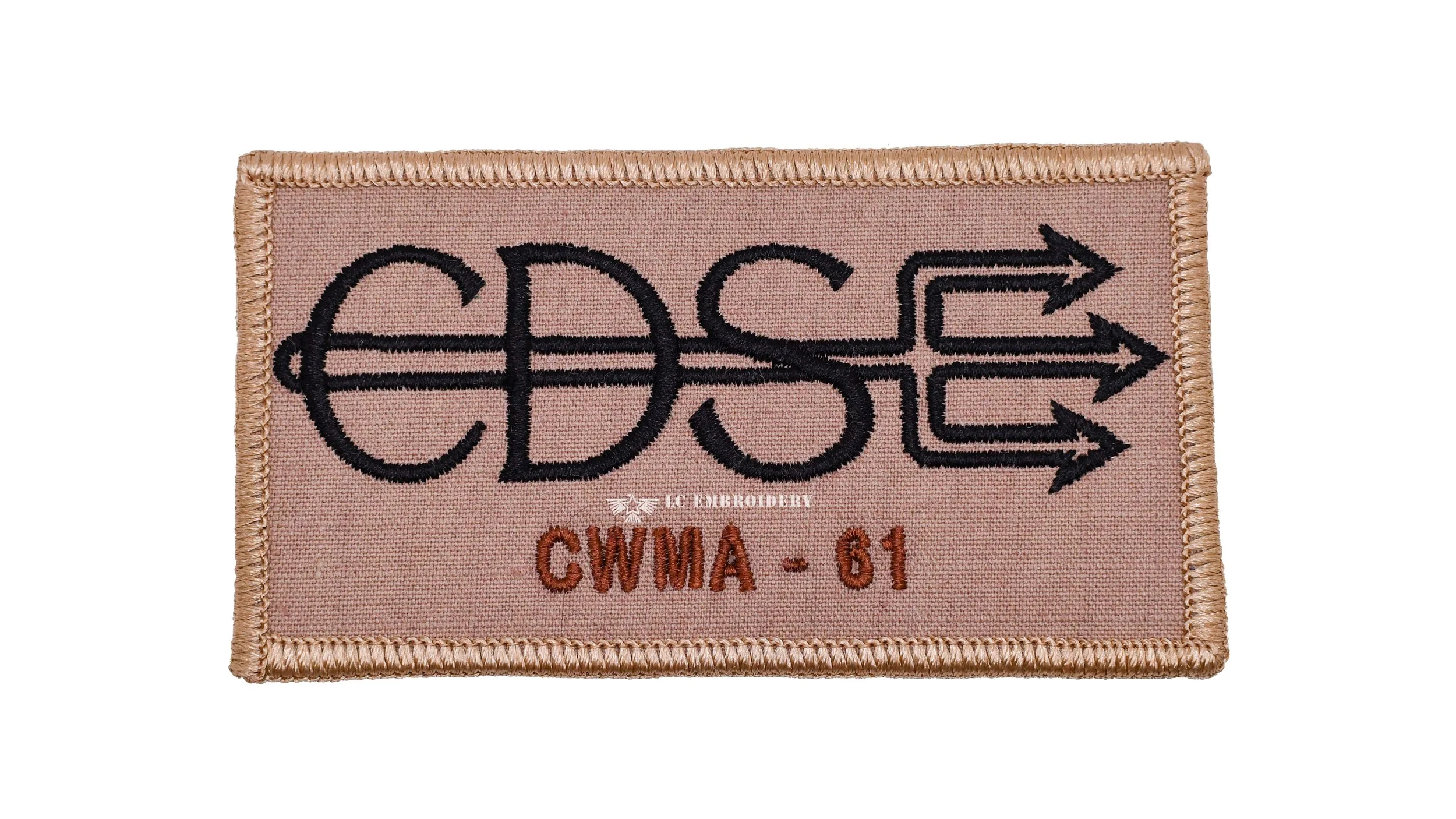 CDSE.jpg