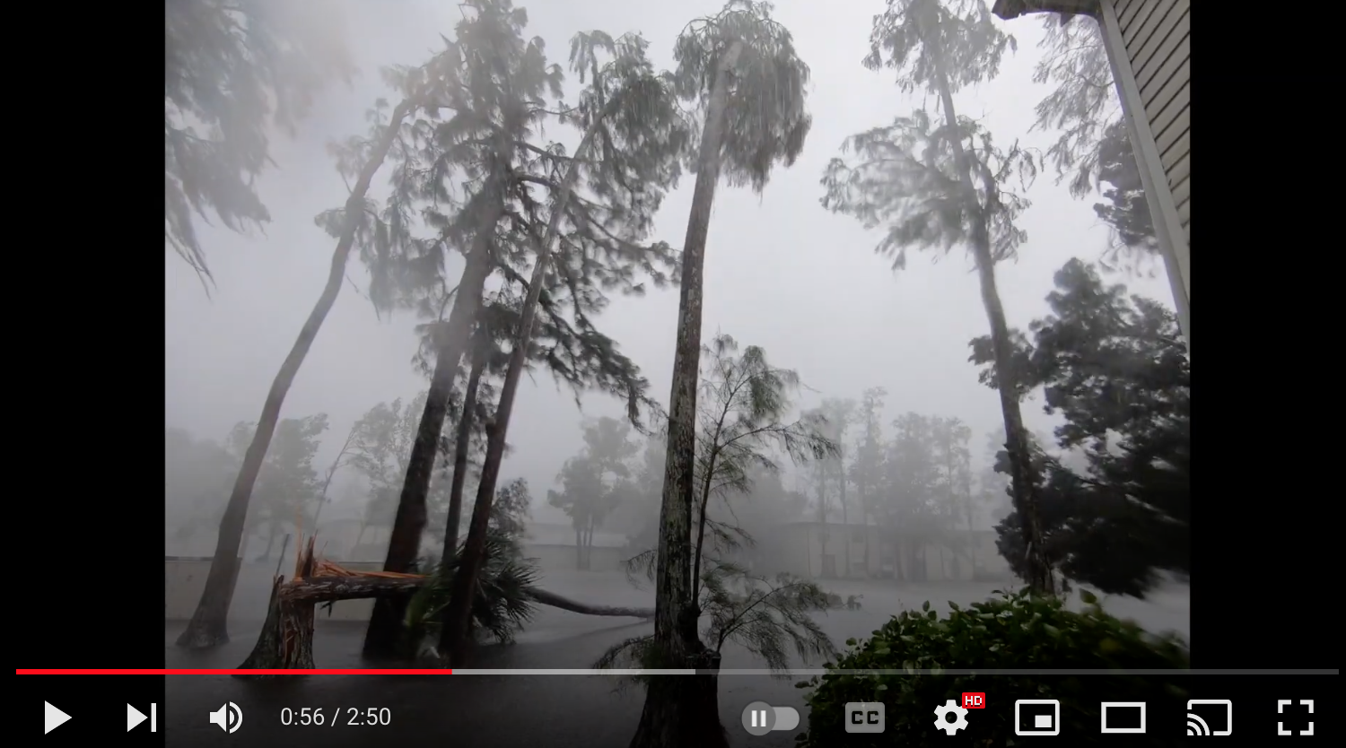 Hurricane Ian Before, During, After