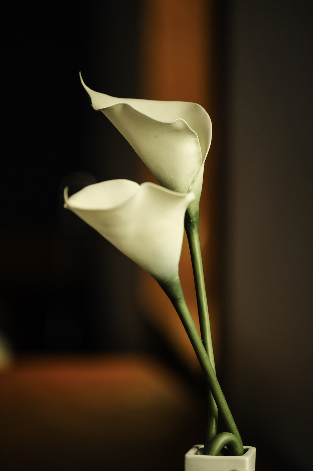 Two white calla lilies in a white vase against a dark background.