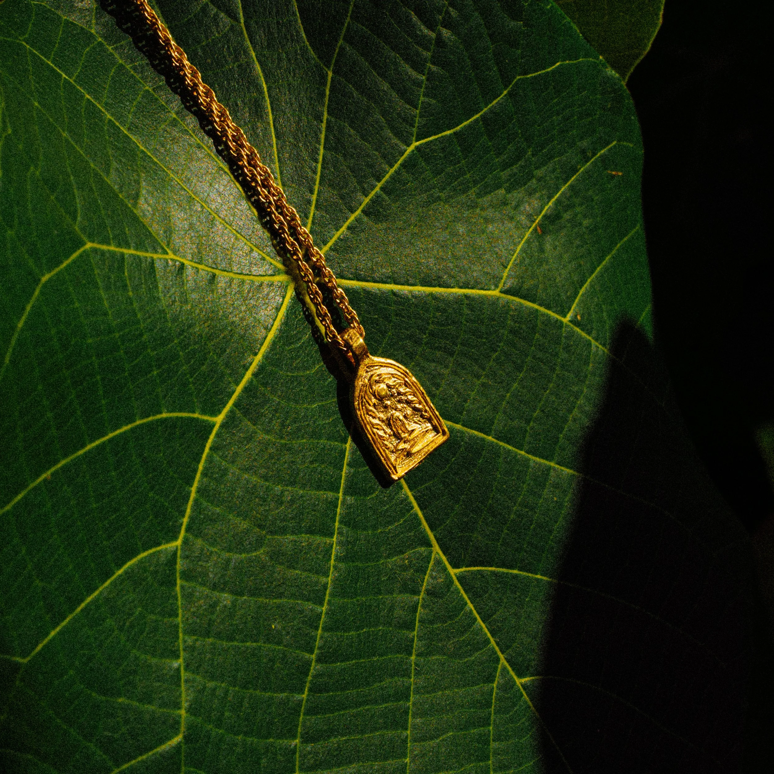 Salty - Gold Collection-090.jpg