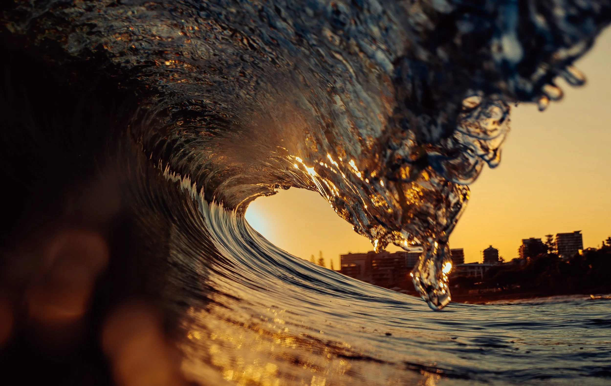 Golden Barrel 24x38.jpg