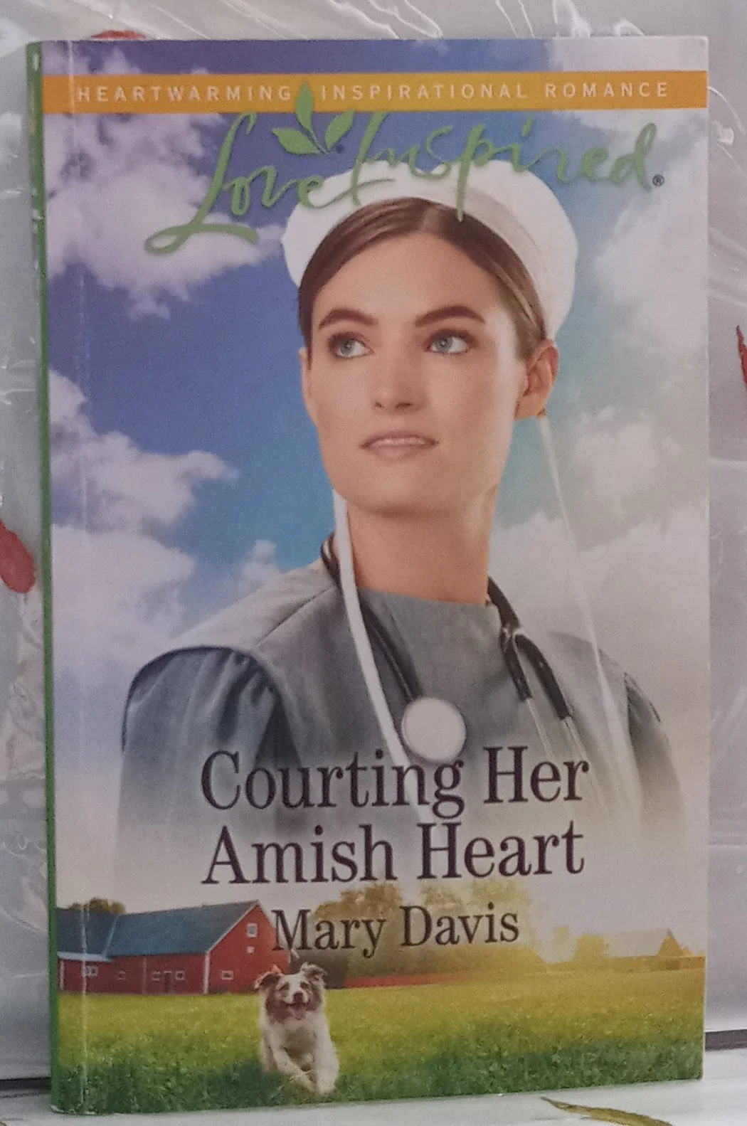Courting her Amish Heart (Mary Davis)