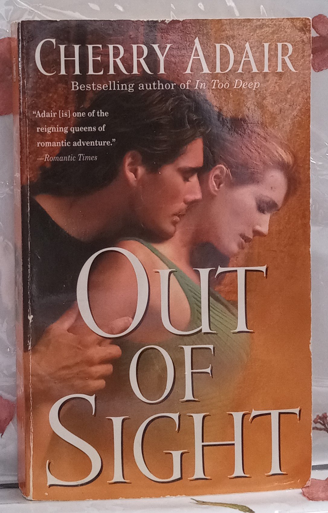 Out of Sight (Cherry Adair)