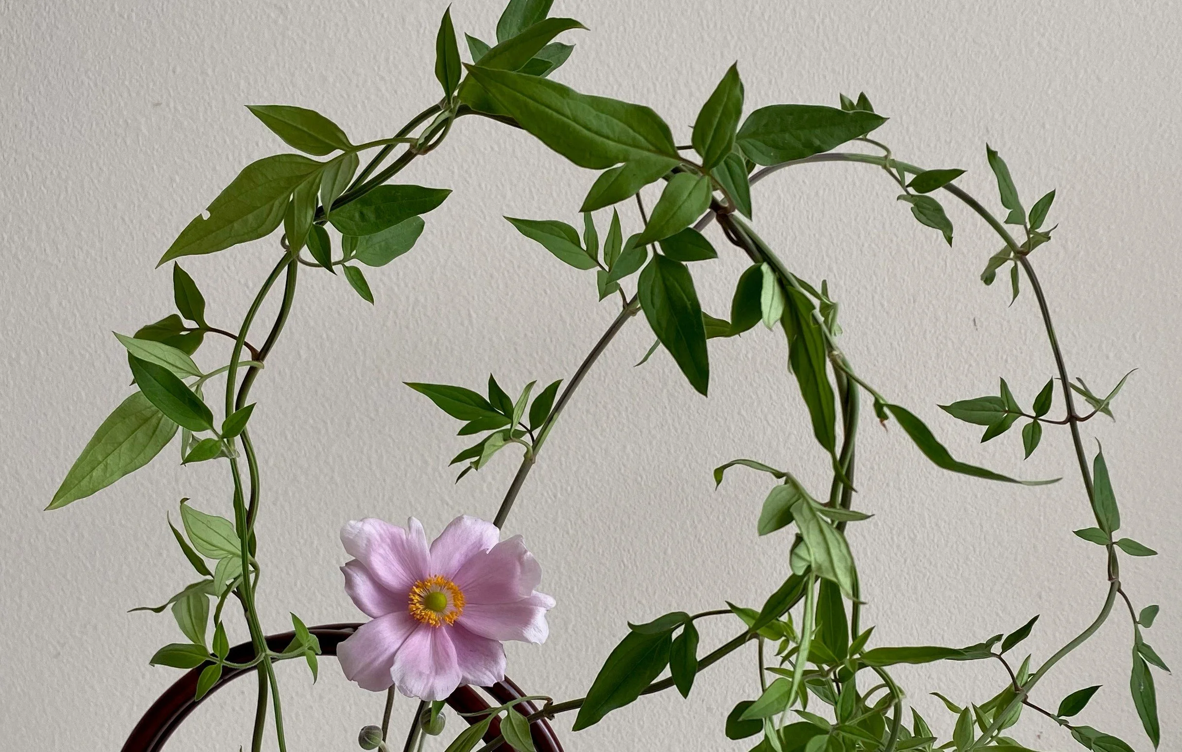 Seattle Art Museum Stage Performance