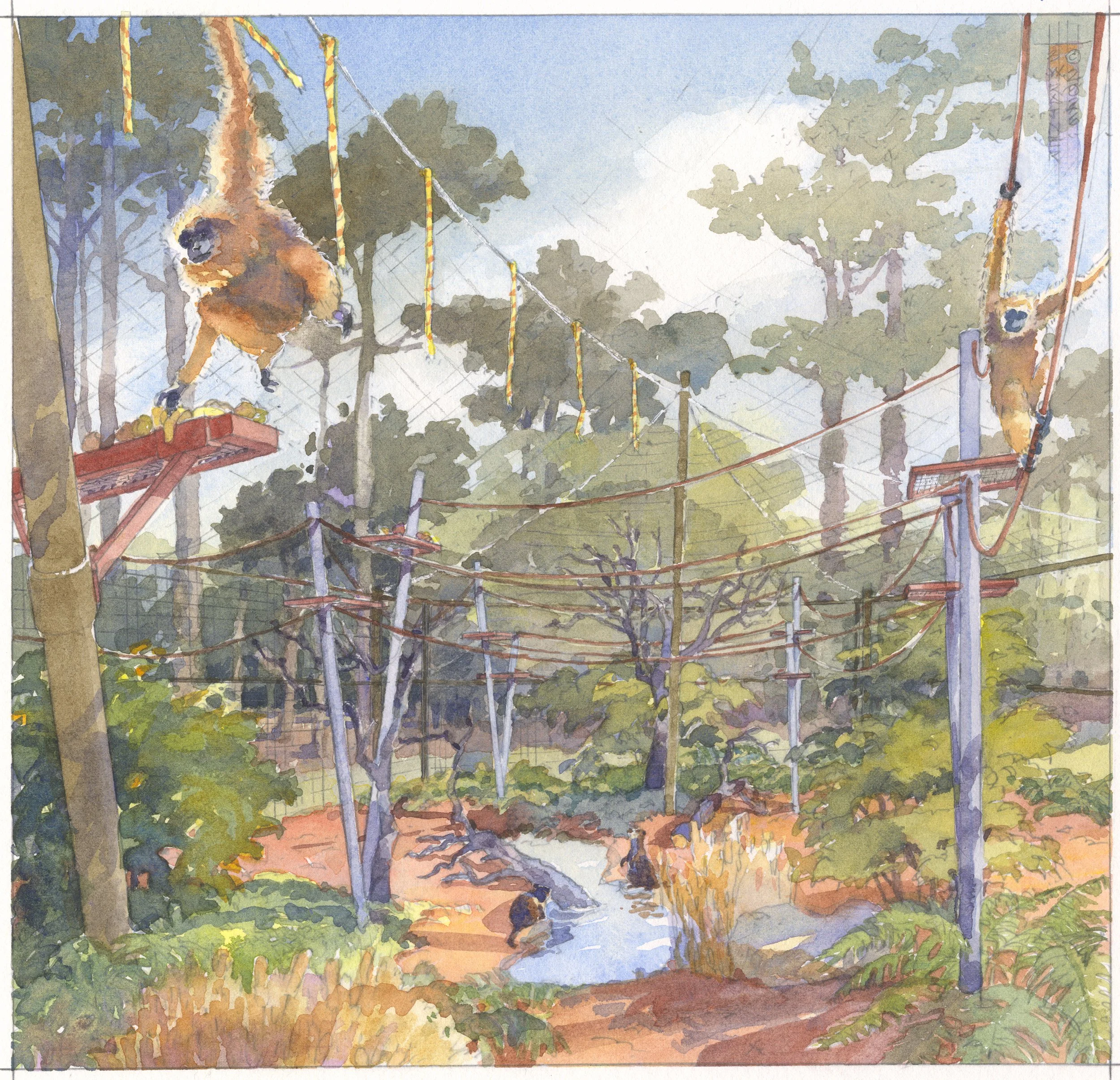 Watercolor Rendering of Gibbon and Otter Habitat