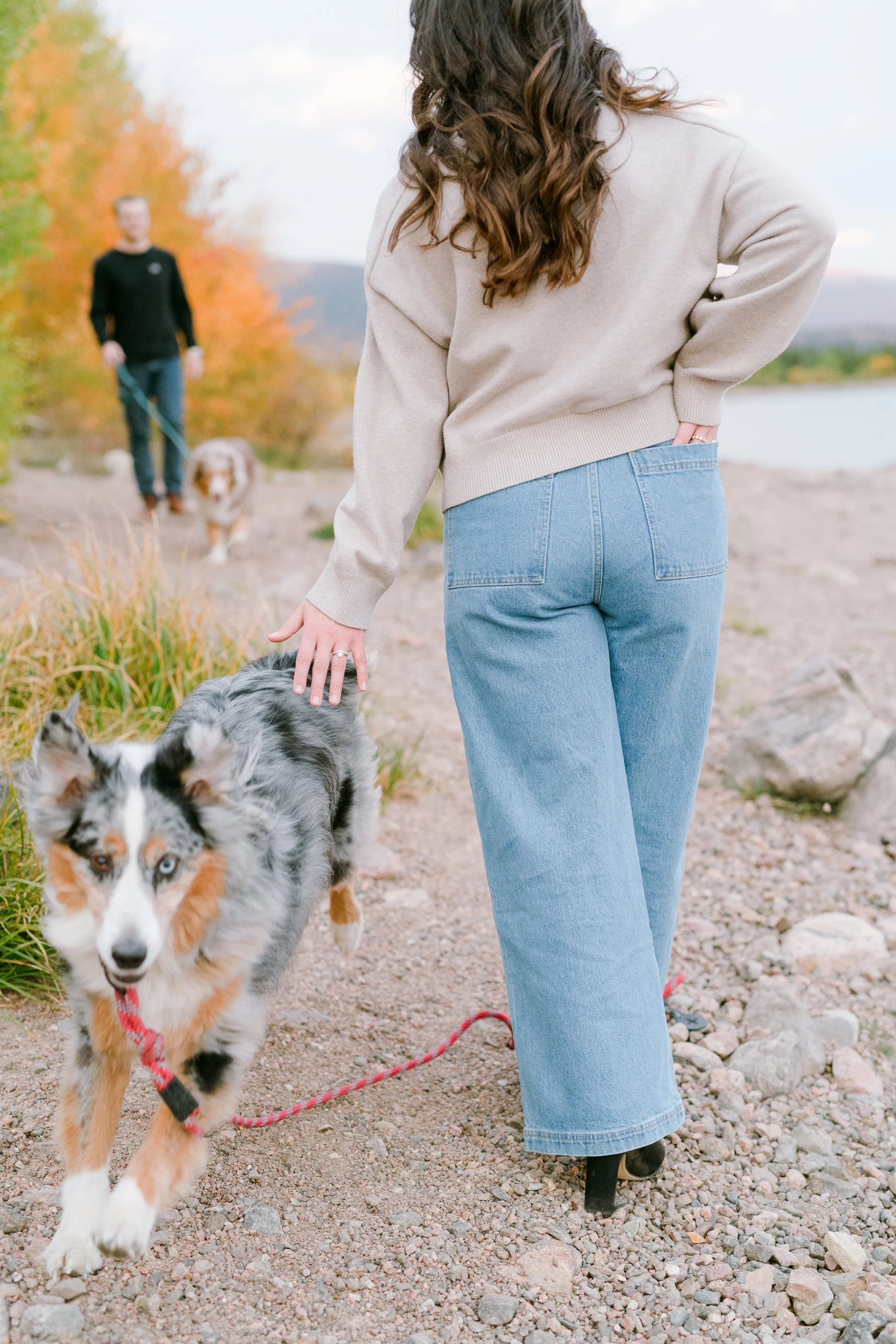A woman with long wavy brown hair walking her Australian Shepherd puppy on a leash for documentary engagement photography in Dillon Colorado along the shoreline of Lake Dillon as the aspens change color and turn yellow