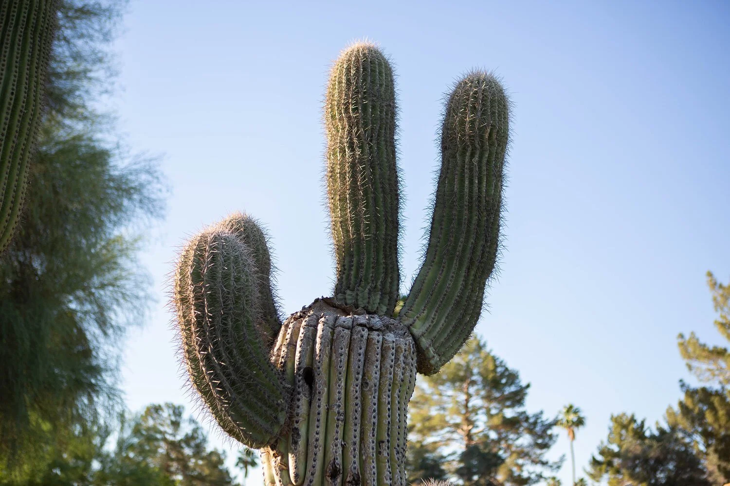 Andaz Resort Scottsdale Arizona
