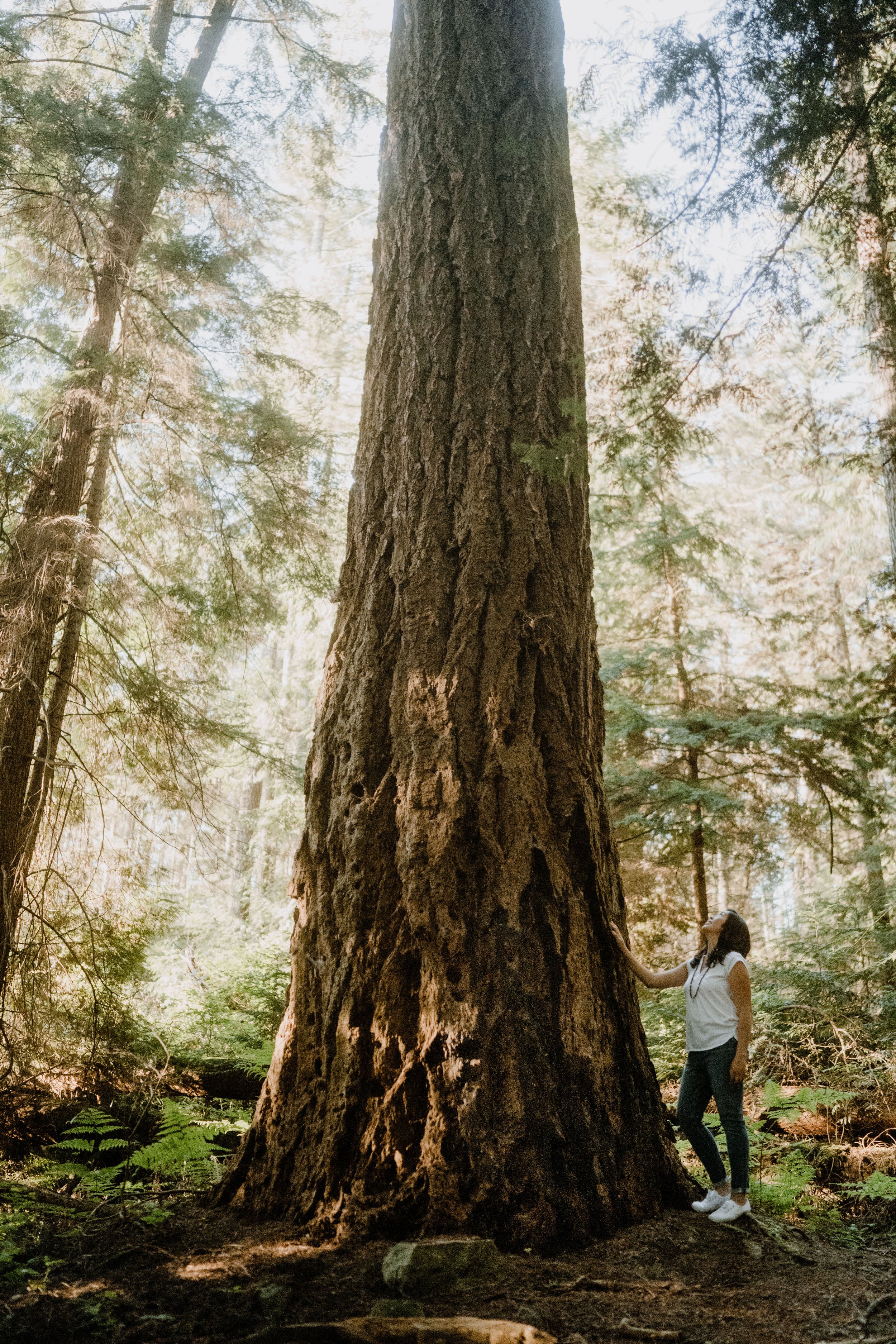 Margaret Pineda touching tree