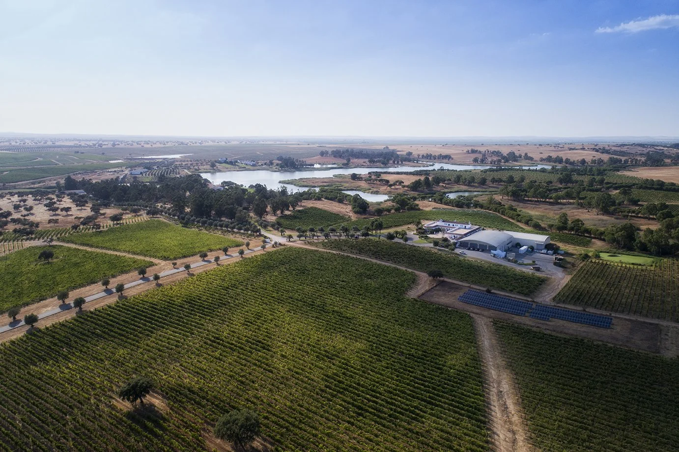 Herdade dos Grous (415).jpg