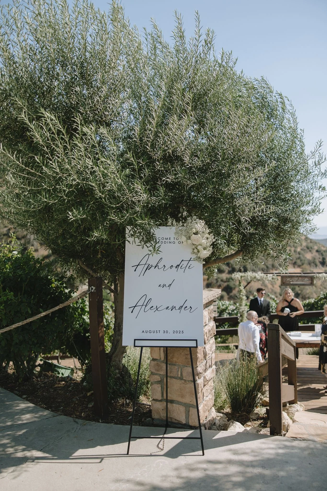 darianshantayphoto_aphroditi_alexander_serendipity_wedding-320_websize.jpg