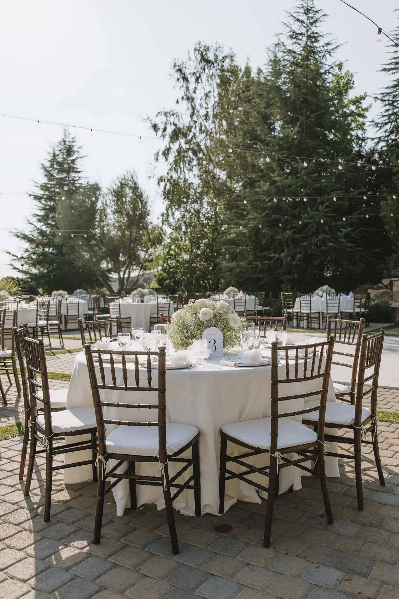 darianshantayphoto_aphroditi_alexander_serendipity_wedding-624_websize.jpg