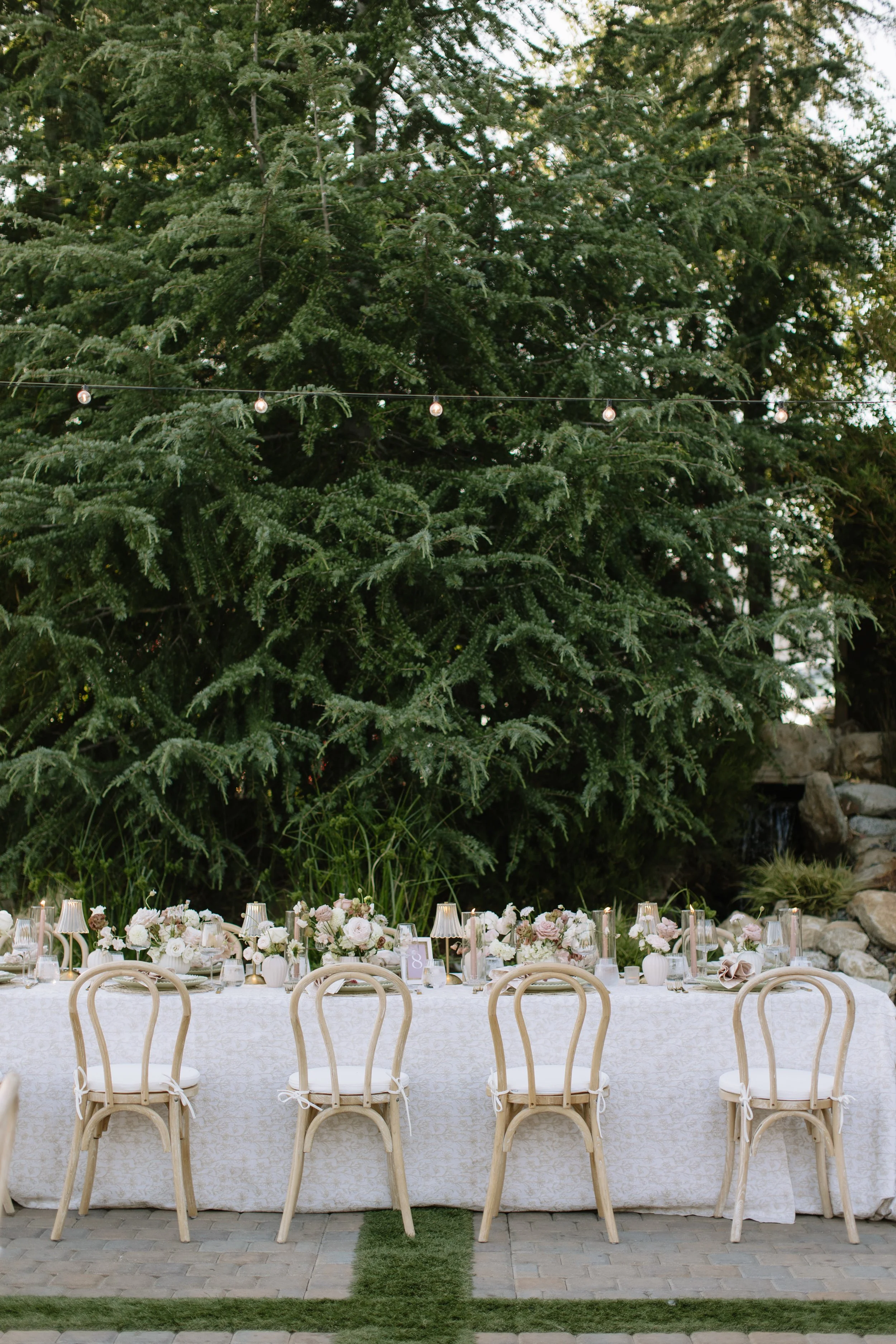 darianshantayphoto_alanna_cameron_serendipity_wedding-902.jpg